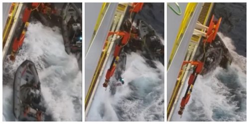 Activistas de Greenpeace embestidos por la Armada durante una protesta