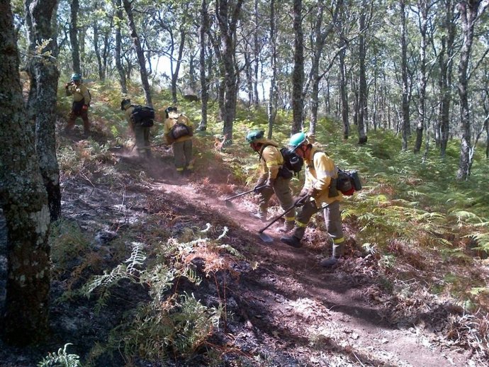Efectivos realizan labores de control y remate del fuego en Acebo
