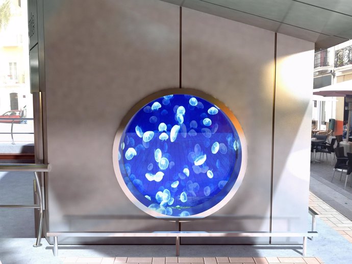 La pecera esférica que acogerá medusas en la plaza Nueva