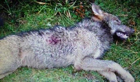 Cooperación y Desarrollo