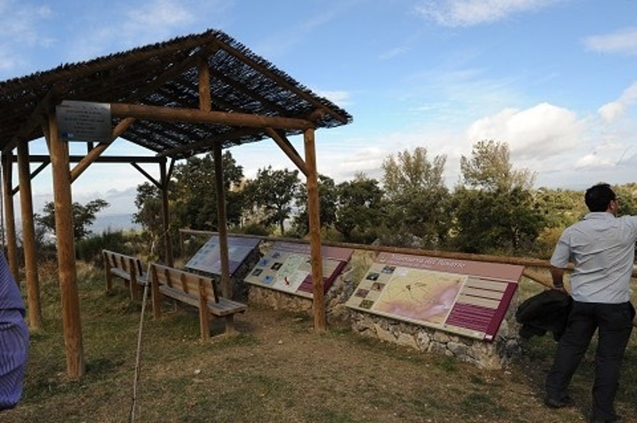Avistamiento de aves en la provincia de Málaga 