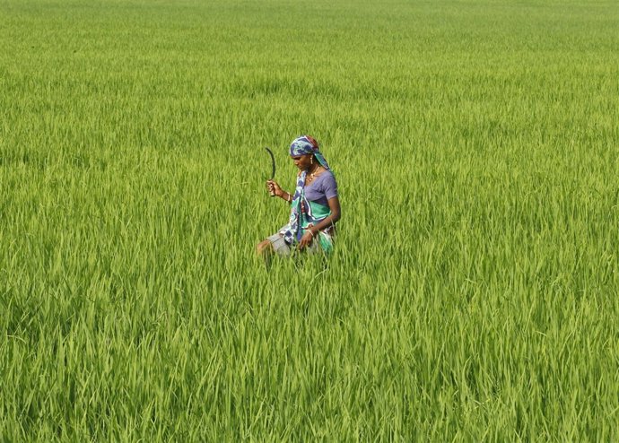 Trabajadora del campo