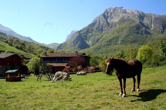Alojamiento rural en la montaña 