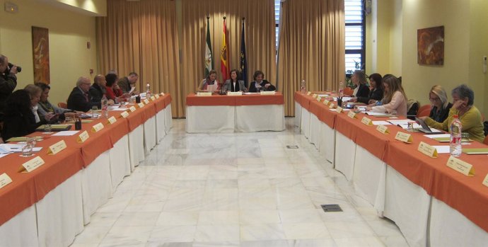 Reunión del Pleno del Observatorio Andaluza de la Violencia de Género