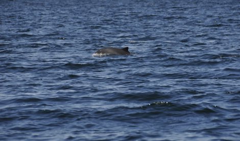 Cooperación y Desarrollo