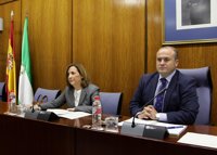 Descertificados 46,9 millones de formación por "desconfianza" de la UE