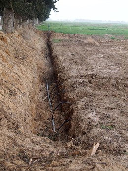 Experimento de riego por goteo en el centro agronómico de La Melusa (Huesca)