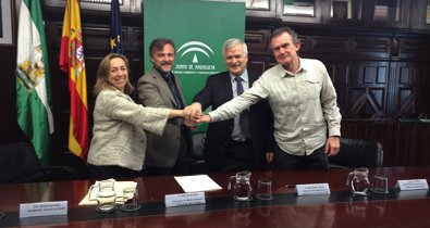 Es Andalucía - Sevilla