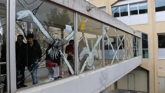 Intervención en UC para evitar aves choquen contra cristaleras 