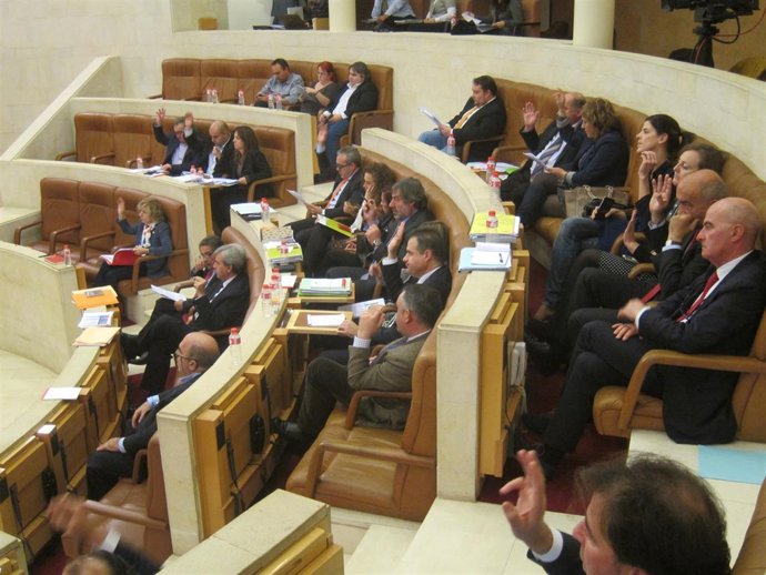 Pleno del Parlamento  (archivo)