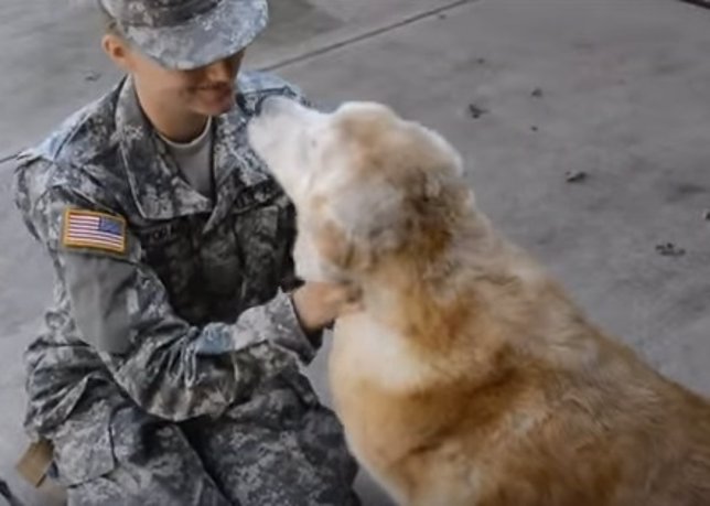 Perro se emociona al dar la bienvenida a su dueña militar