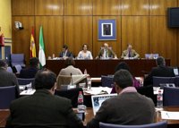 Jefe de servicio de Formación en Cádiz: El sistema de auditoría no daba "tranquilidad"