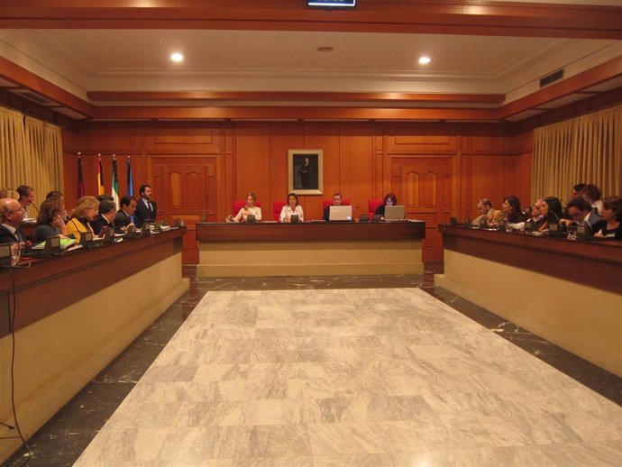 Celebración del Pleno del Ayuntamiento