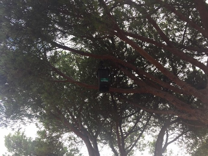 Caja de la Biodiversidad creada por el Foro Encinal para frenar plagas. 