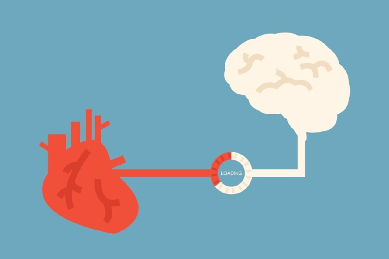Corazón y cerebro
