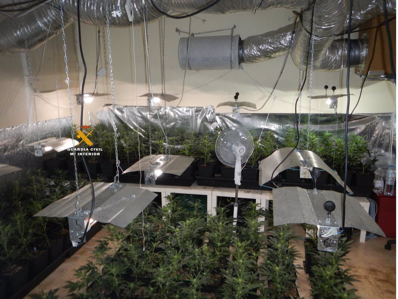 Invernadero de marihuana en una vivienda de Mijas Guardia Civil