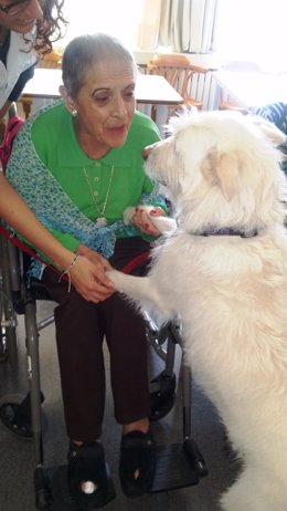 Actividad con una perra en el Hospital Asil Sant Jaume de Blanes