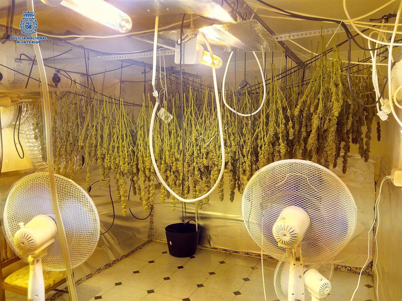 Marihuana vélez-málaga cocaína pareja detenida