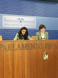 "Sorpresa" en Podemos Andalucía ante el cese de Sergio Pascual