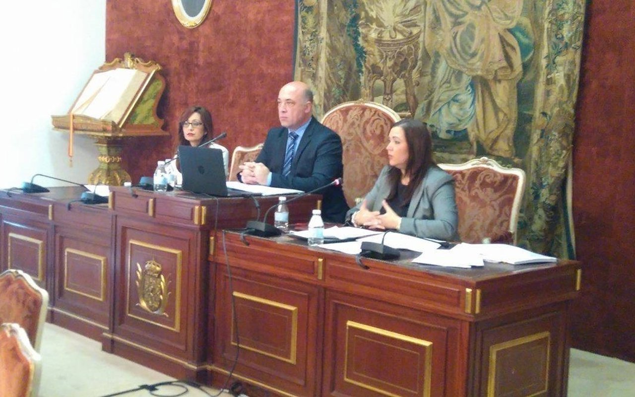 Antonio Ruiz preside el Pleno