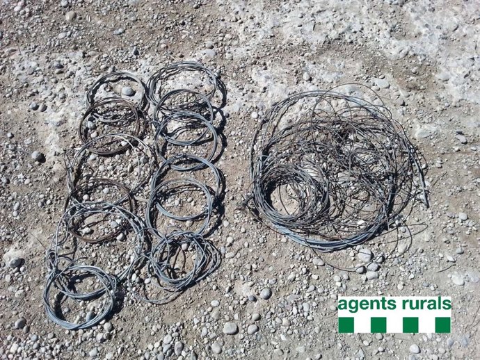 Trampas de caza decomisadas en la Pobla de Cérvoles