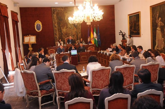 Un momento del Pleno de la Diputación