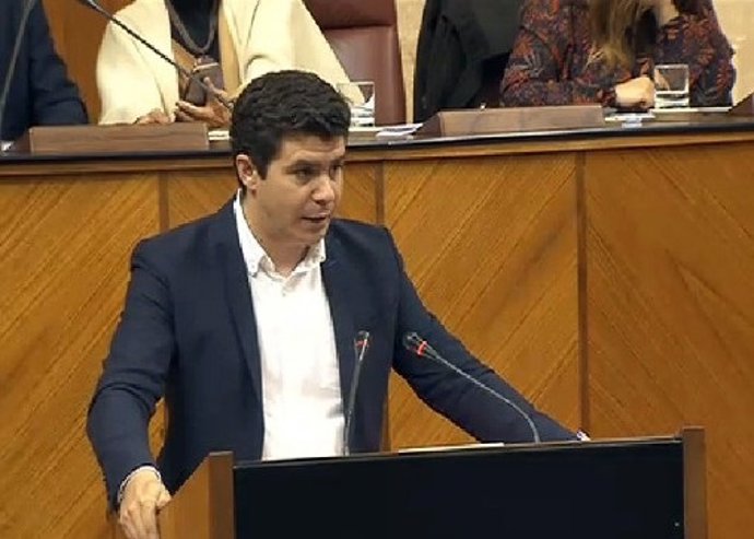 El diputado de Ciudadanos en el Parlamento andaluz Sergio Romero