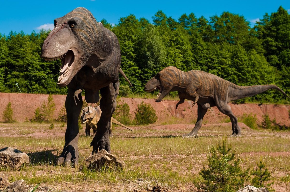 El Jurásico duró 5 millones de años más y los dinosaurios vivieron más  tiempo