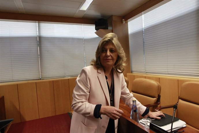 Engracia Hidalgo en la comisión contra la corrupción de la Asamblea de Madrid