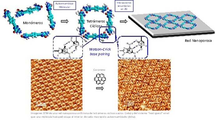 IMAGEN_AUTO-ENSAMBLAJE_