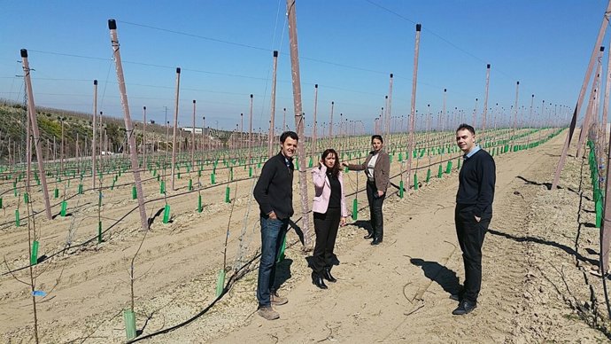 Visita a la empresa Cortijo-Cuevas de Láchar (Granada)
