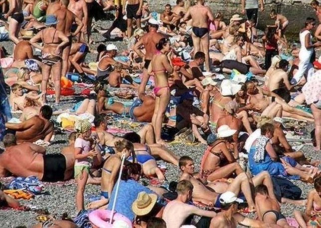 Encuentra al gato en la fotografía