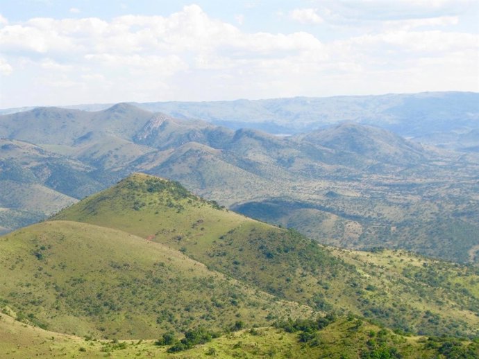 Cinturón de Piedra Verde Barberton
