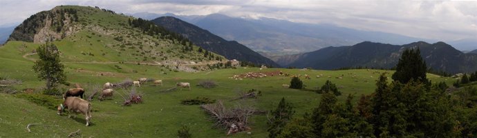 Prat de Aguiló (Lleida)    