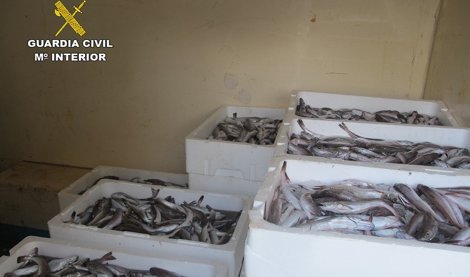 Cooperación y Desarrollo