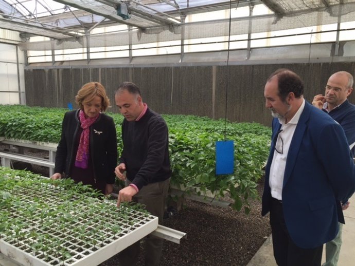 La consejera de Agricultura visita un semillero en El Ejido