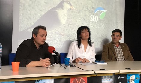 Cooperación y Desarrollo