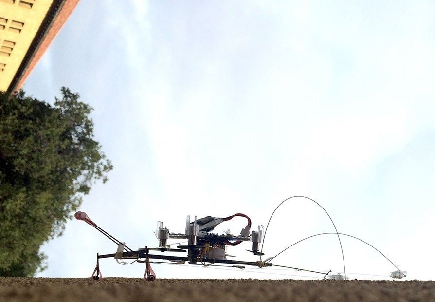 Foto: UNIVERSIDAD DE STANFORD