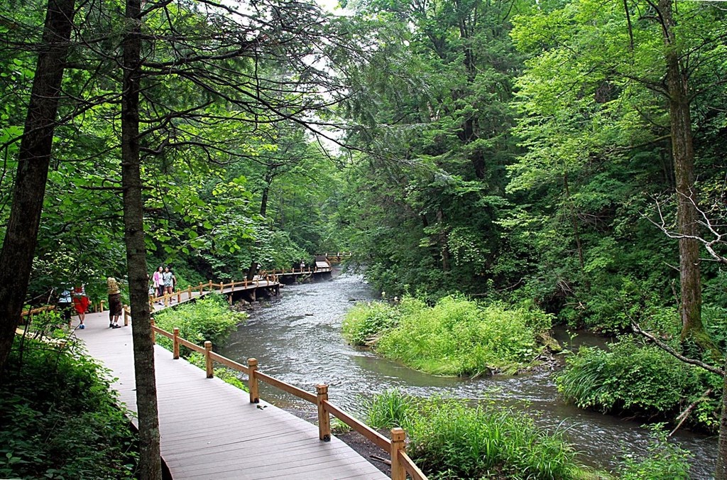 Recuperar bosques en China, clave para mitigar el cambio climático Recuperar bosques en China, clave para mitigar el cambio climático