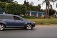Un hombre resulta herido por un león que se escapó de un parque nacional de Nairobi