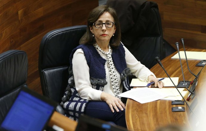 La consejera Belén Fernández, durante el pleno.