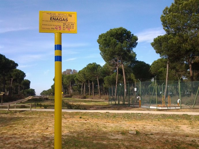 Gasoducto de Huelva a Sevilla a su paso por Doñana