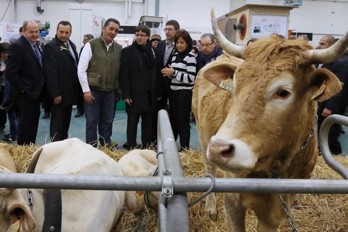El presidente Carles Puigdemont, en una visita al Mercat del Ram de Vic
