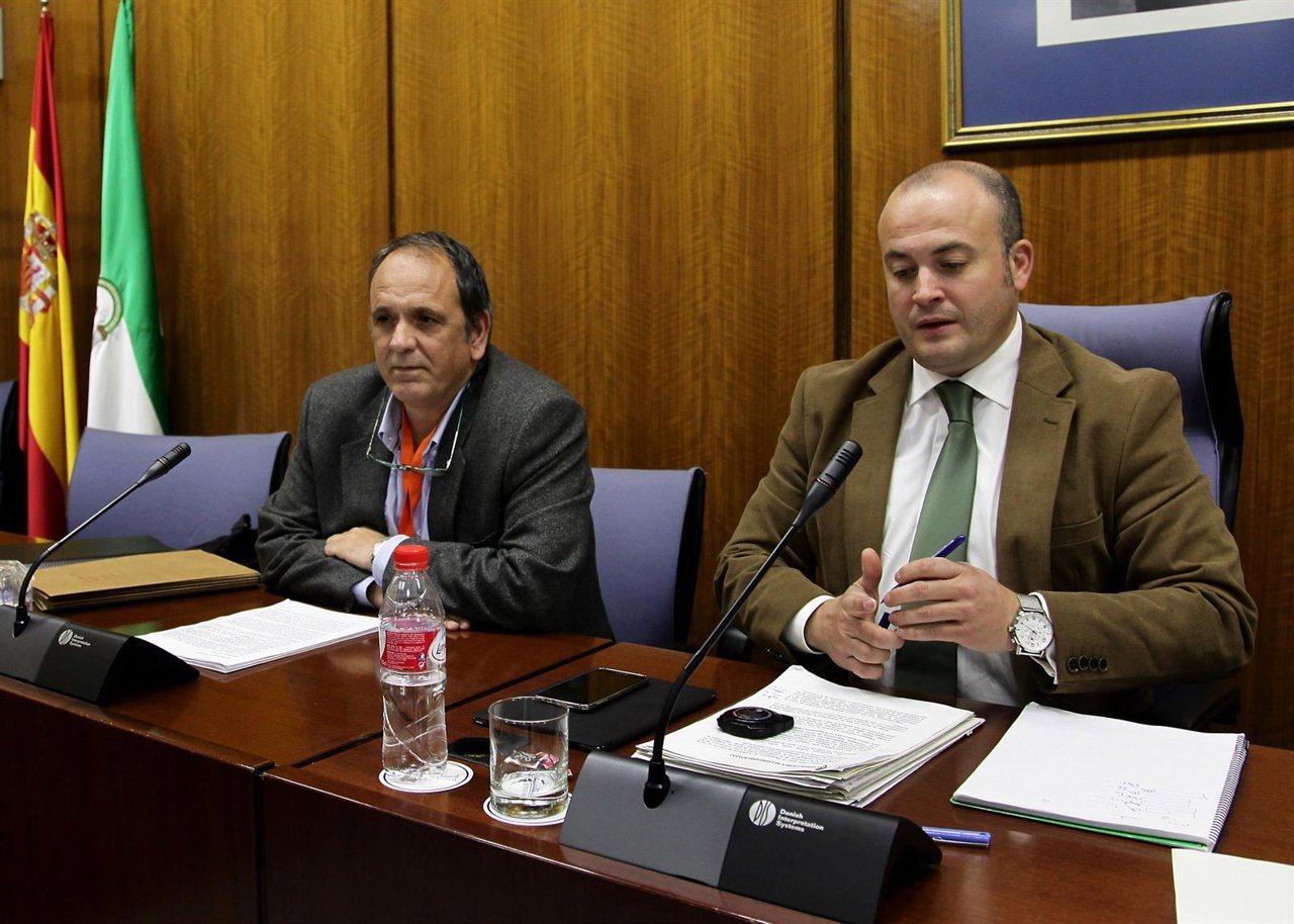 El jefe de servicio de Dirección General Formación de Córdoba ante la comisión
