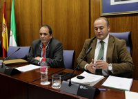 La comisión de formación continúa con un testigo protegido de Alaya