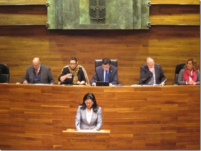 La diputada Carmen Fernández interpelando al consejero durante el Pleno. 