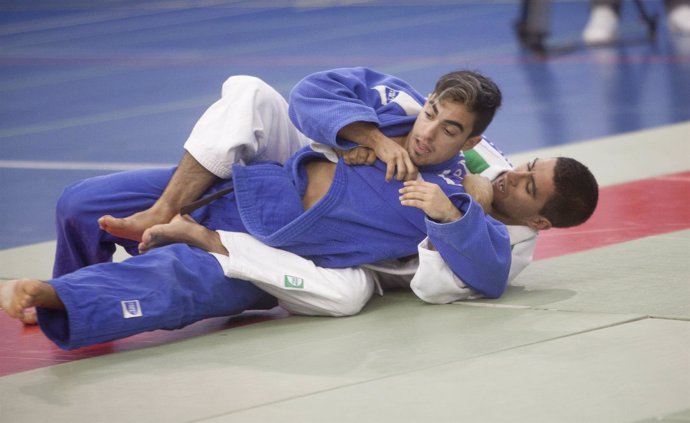 Gavilán judo