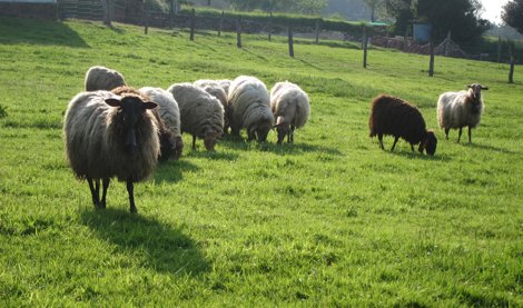 Cooperación y Desarrollo