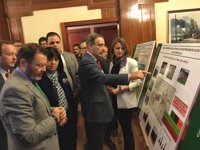 La Junta invertirá 3,7 millones en obras en la A-316, entre Jaén y Martos