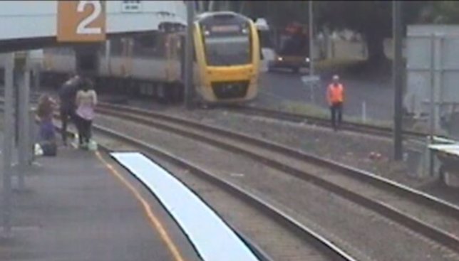 Detienen un tren para salvar a un periquito que saltó a las vías